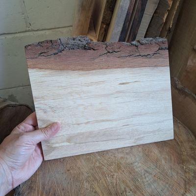 20cm oak wood pyro blank
