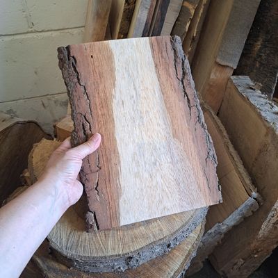 Gnarly barked oak wood piece No.2