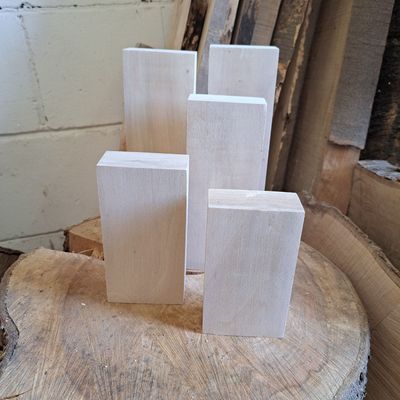 Set of 5 poplar wood blanks