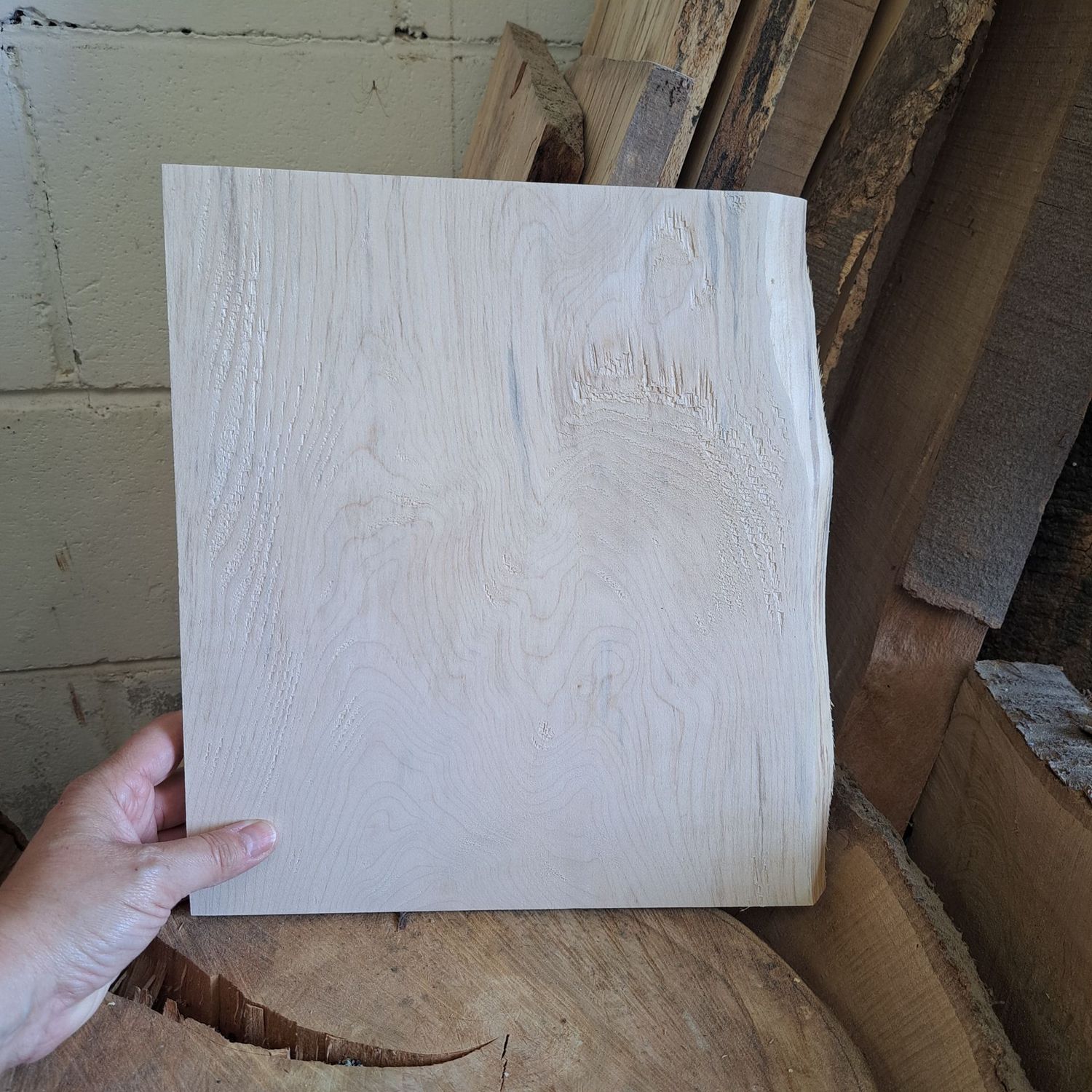 28cm tall Sycamore blank