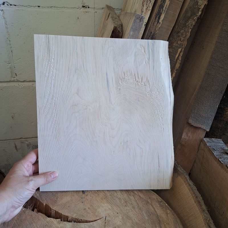 28cm tall Sycamore blank