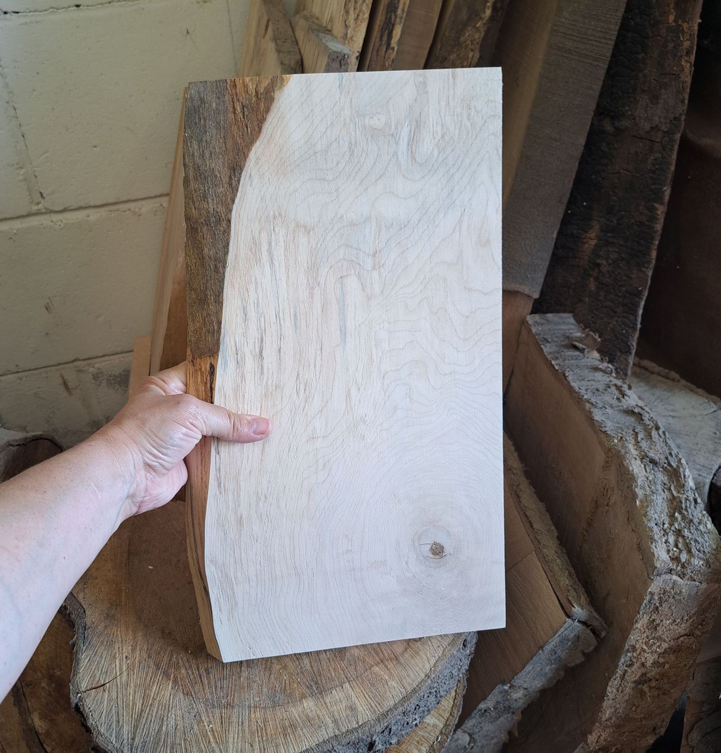 40cm tall Sycamore blank with bark