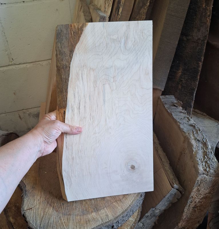 40cm tall Sycamore blank with bark