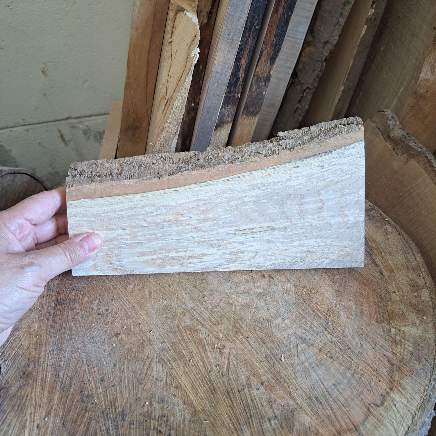 23cm wide oak blank