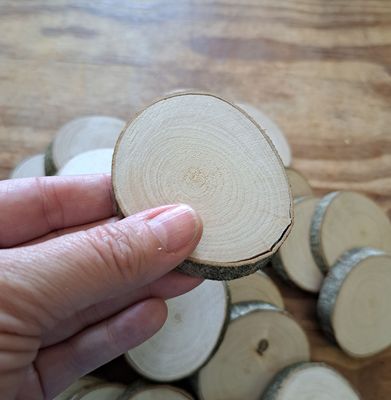 SECONDS 6cm - 7cm maple wood slices