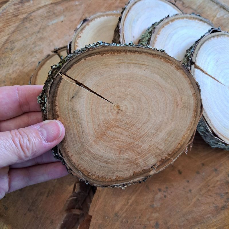 10cm split rustic cherry wood slices