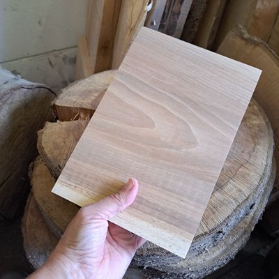 24cm wide lightly spalted beech blank