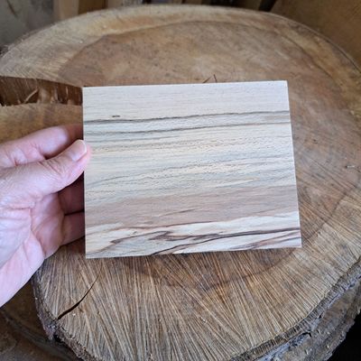 Squared edged spalted beech blank