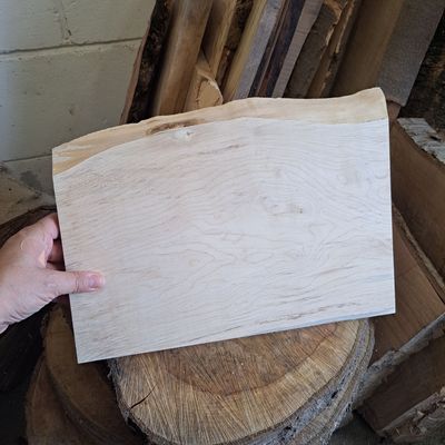35cm wide Sycamore blank