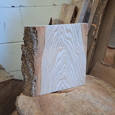 24cm tall ash blank