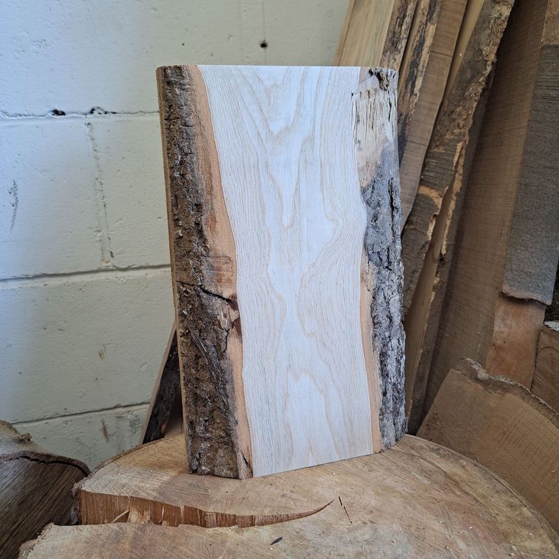 32cm natural edged ash blank