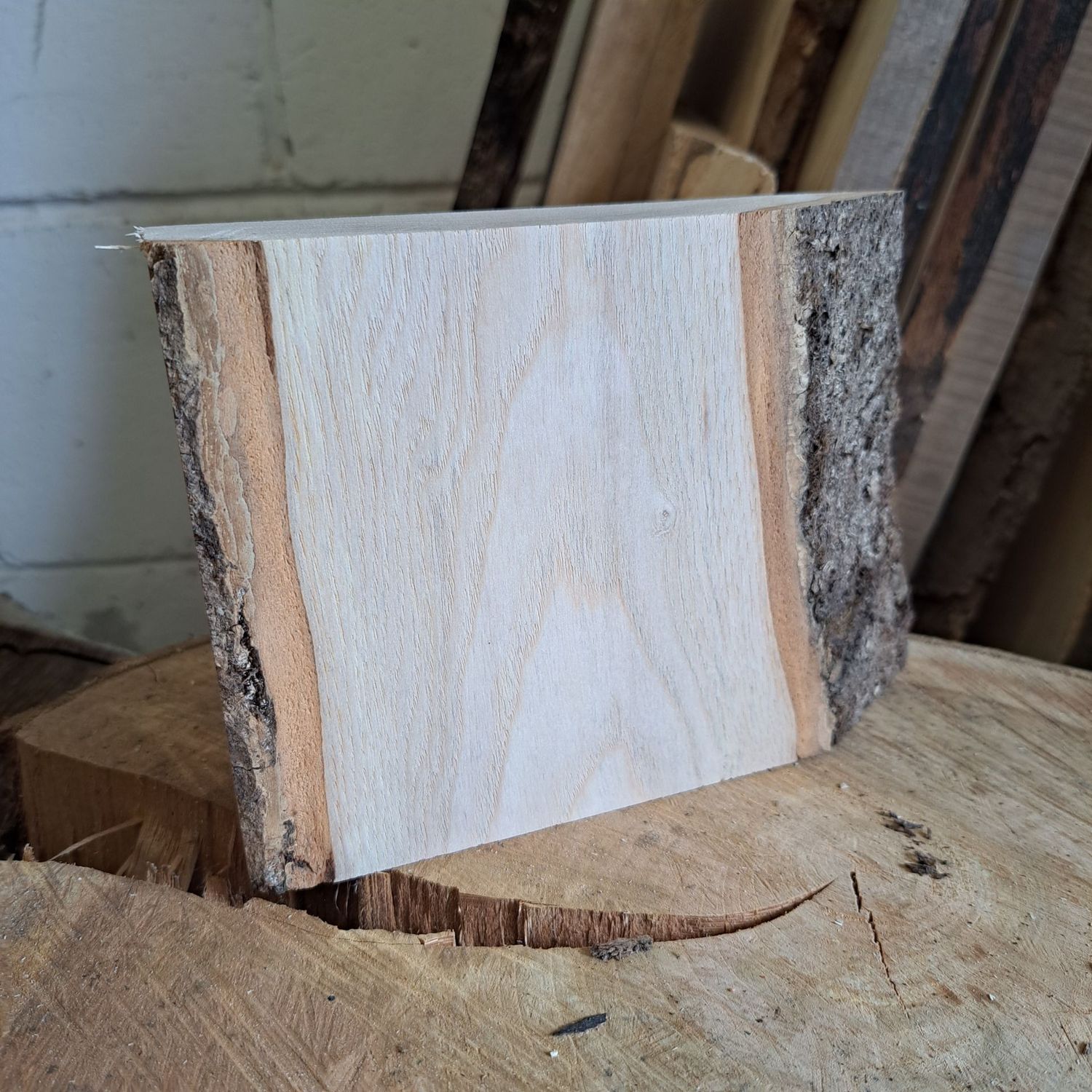 13cm ash blank with natural edge