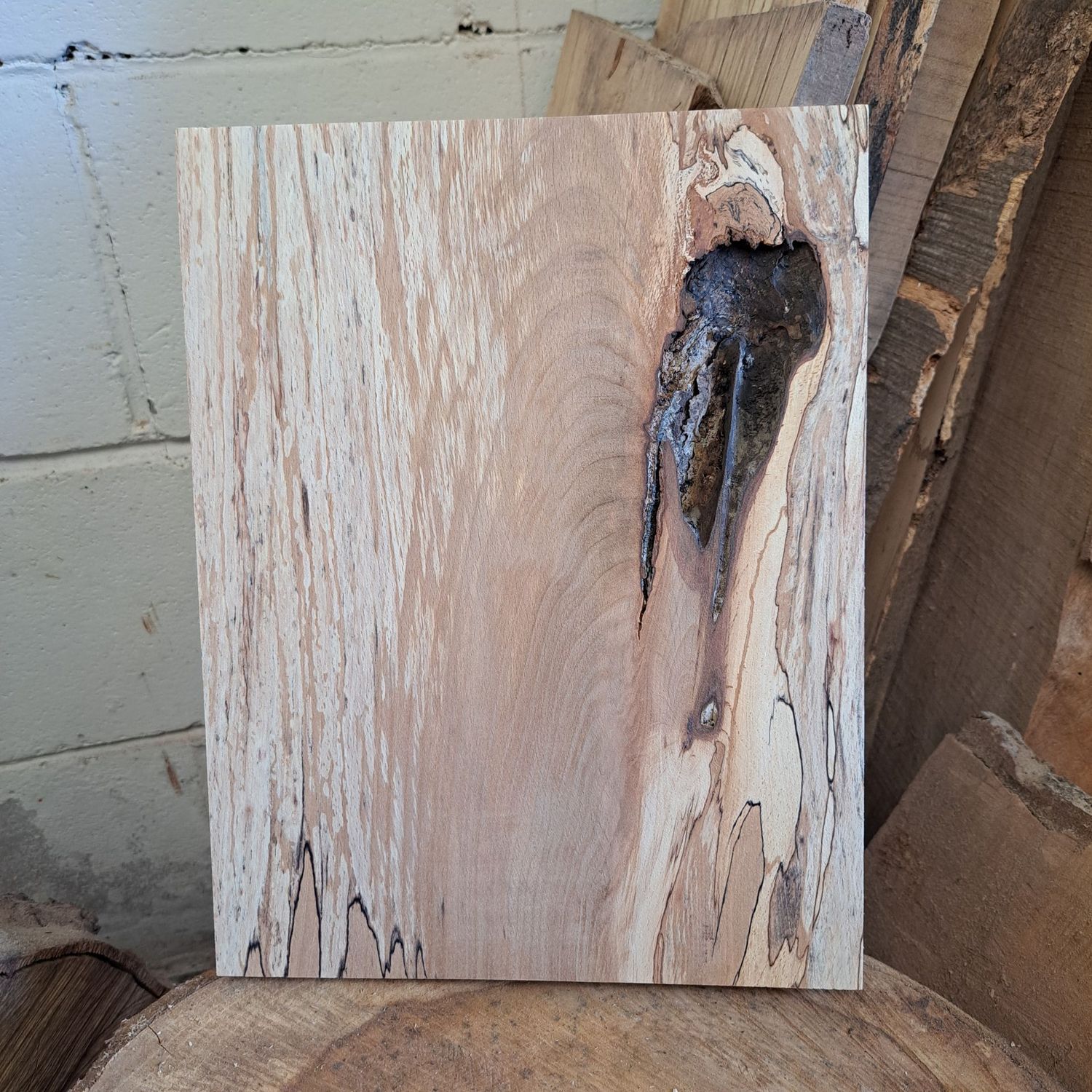 32cm tall heavily spalted beech blank