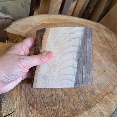 12cm freestanding sycamore blank