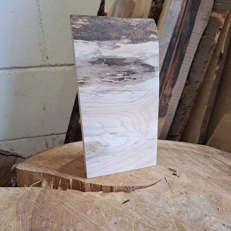 20cm tall Sycamore blank