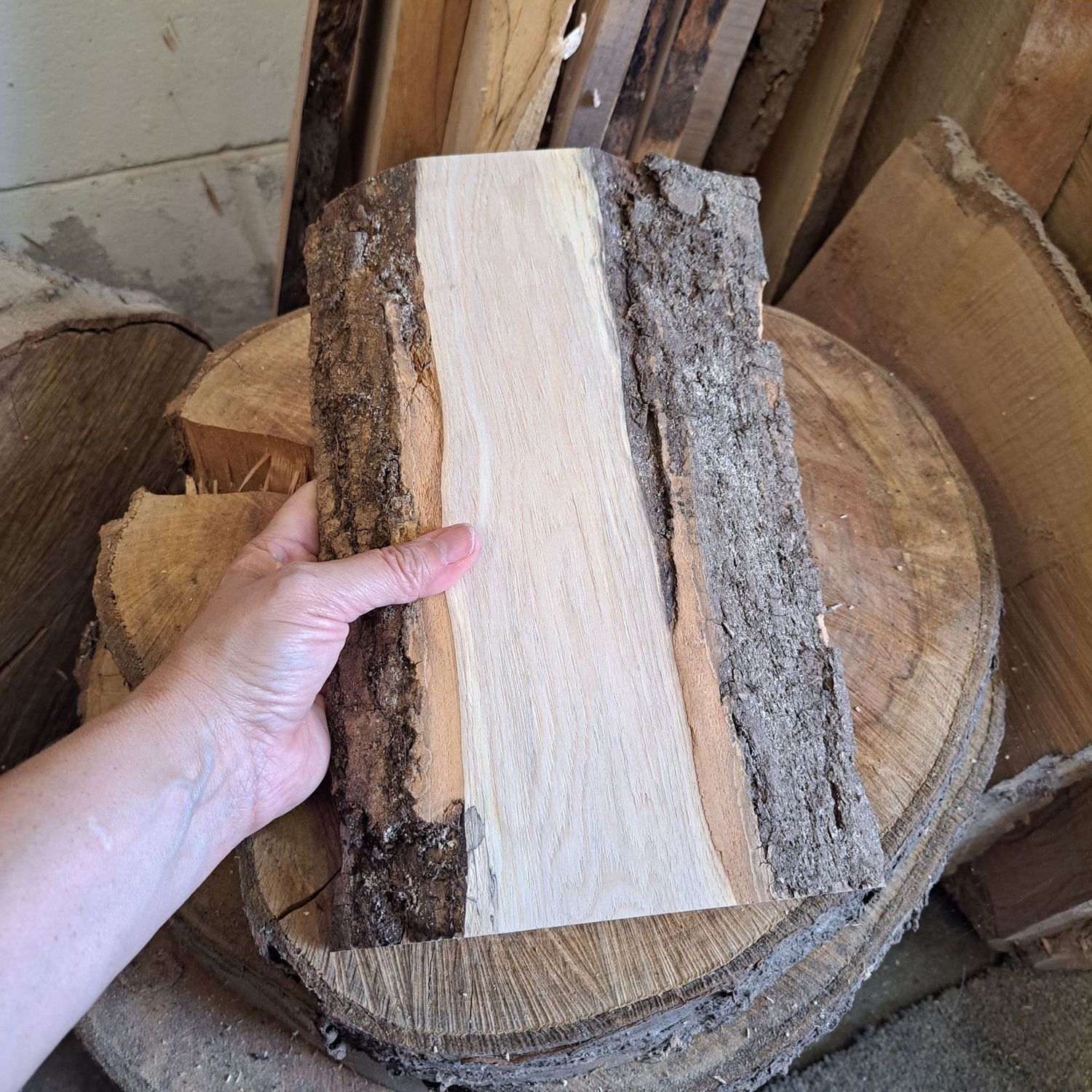 29cm Ash blank with bark
