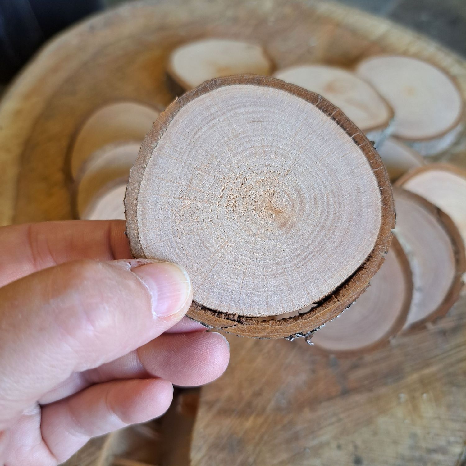 6cm - 7cm wood slices SECONDS