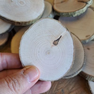 5cm - 7cm hazel wood slices