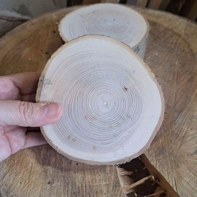 4cm tall Maple wood logs