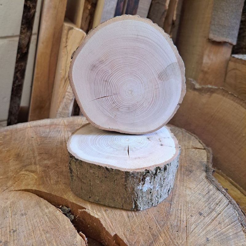 4cm tall Maple wood logs (cracked)