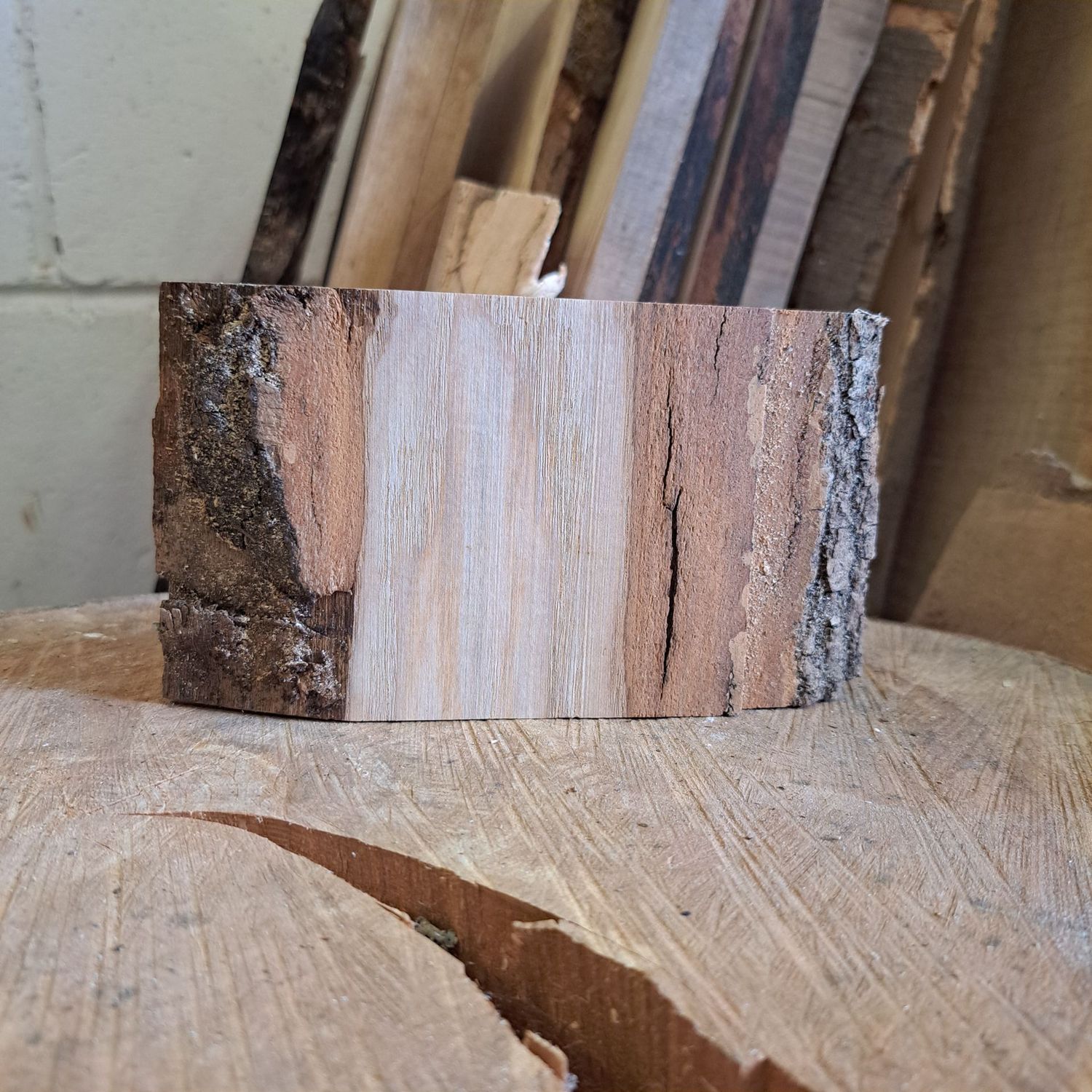 Small alder blank