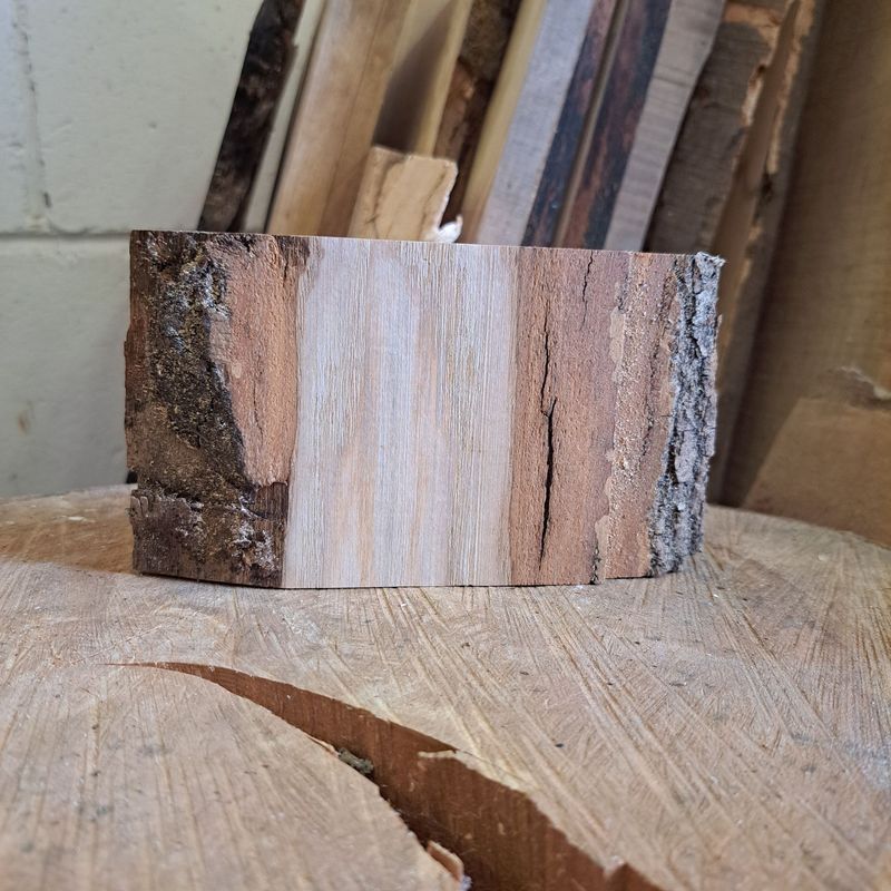 Small alder blank