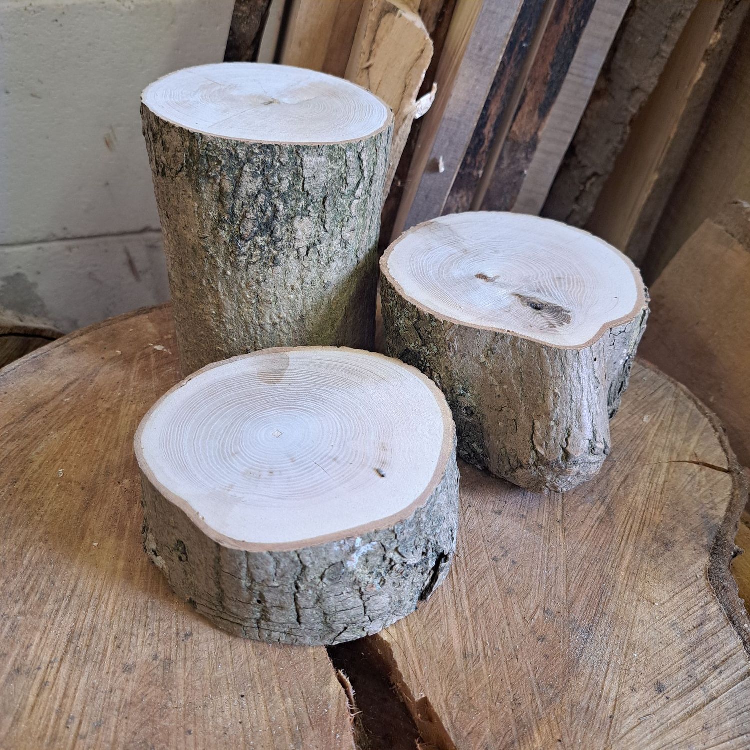 Set of 3 rustic maple logs
