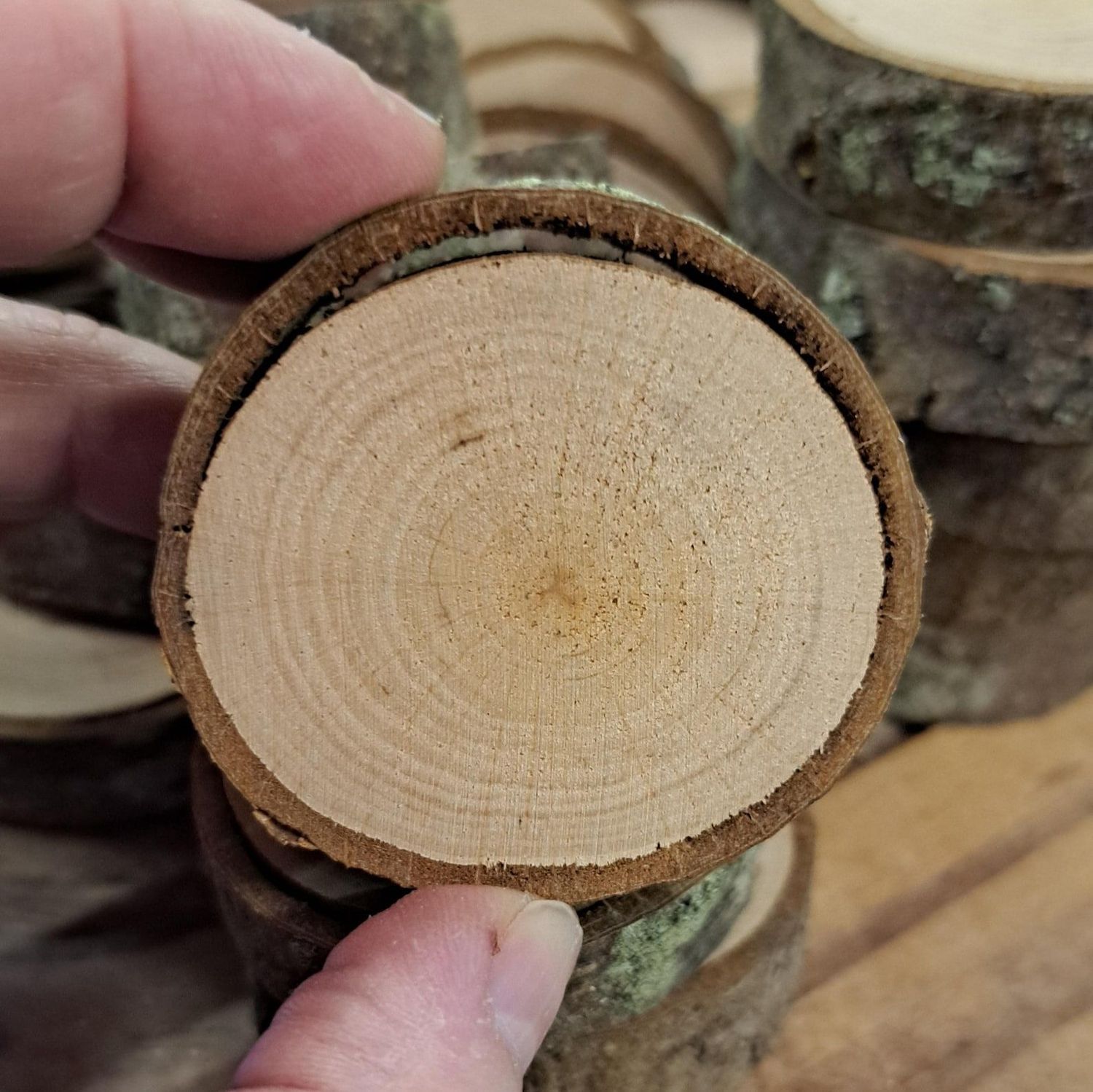 SECONDS 5cm chunky wood slices SECONDS 5cm chunky wood slices