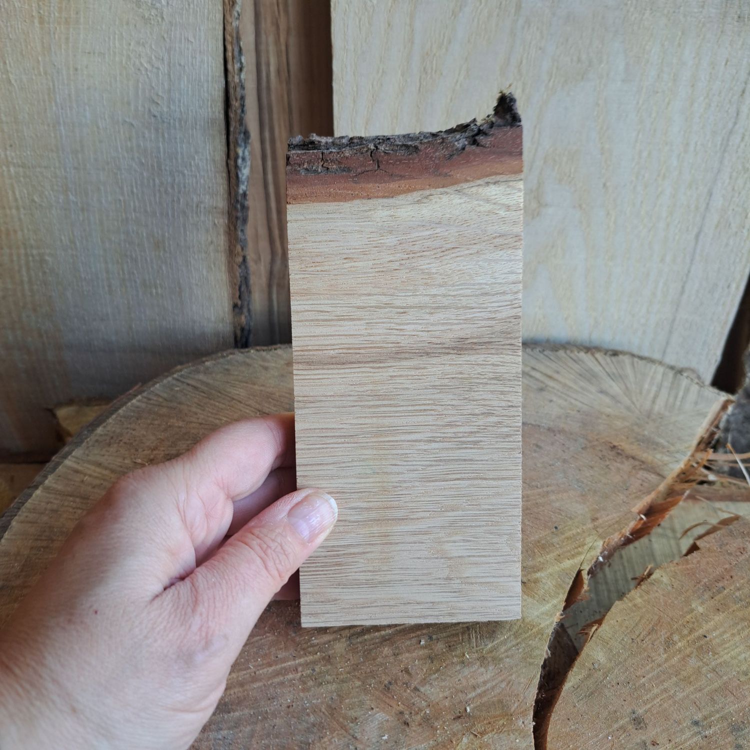 Thin oak blank