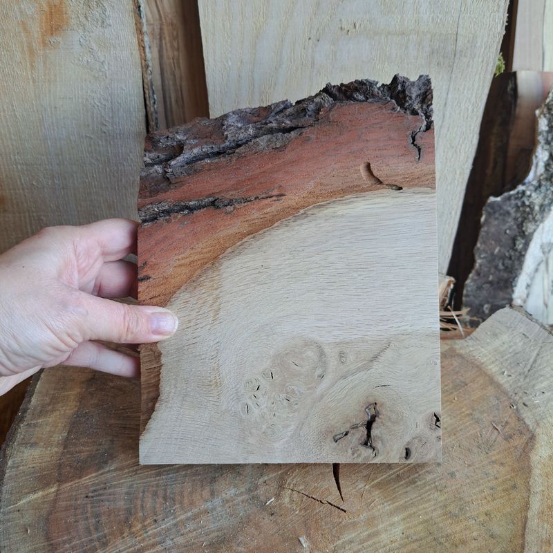 Pippy oak pyro blank