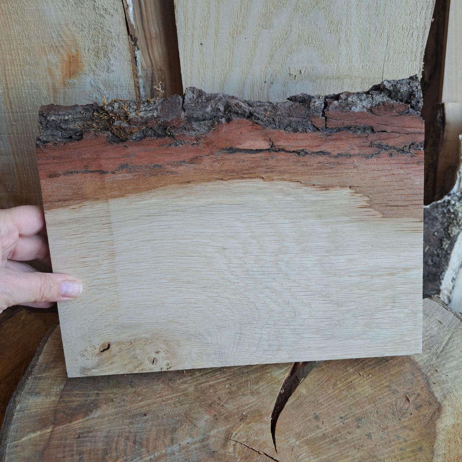 27cm wide oak wood blank 27cm wide oak wood blank