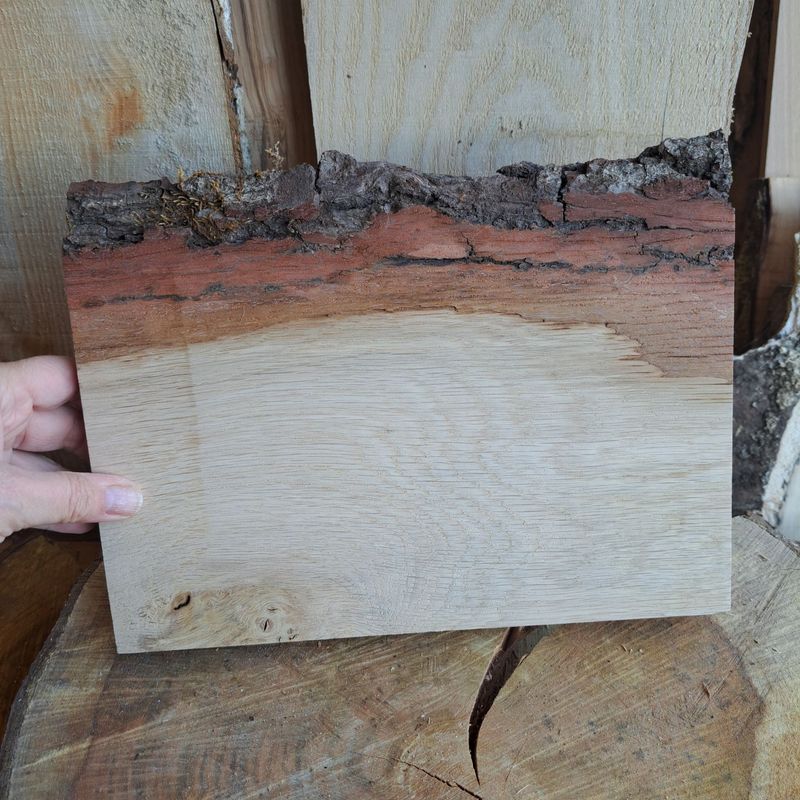 27cm wide oak wood blank