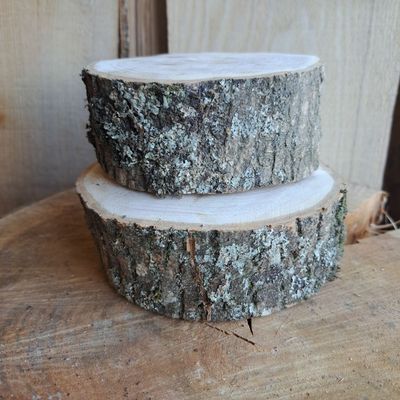 Pair of 14cm log slices Pair of 14cm log slices