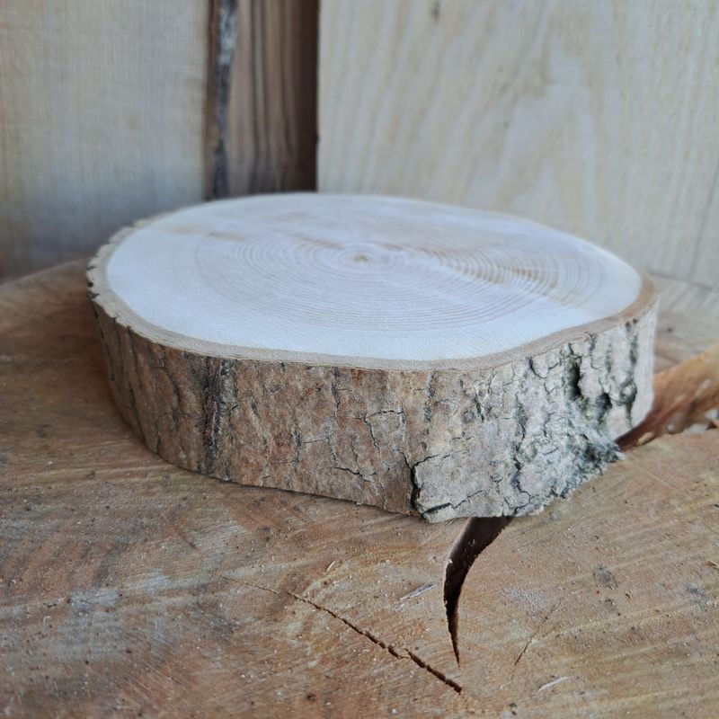 16cm maple log