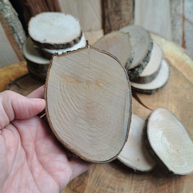 SECONDS bulk maple slices 7cm - 9cm diameter x 25