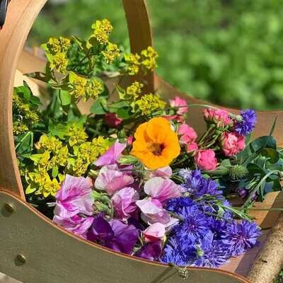 Home & Garden
