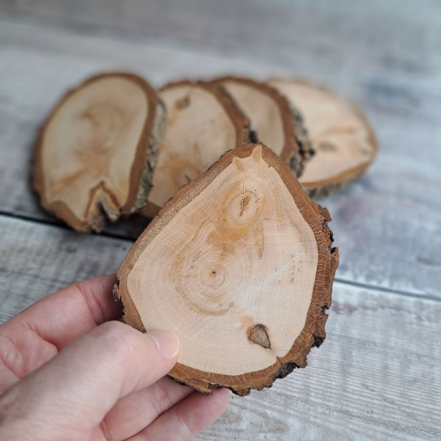 Set of 5  pear shaped wood slices