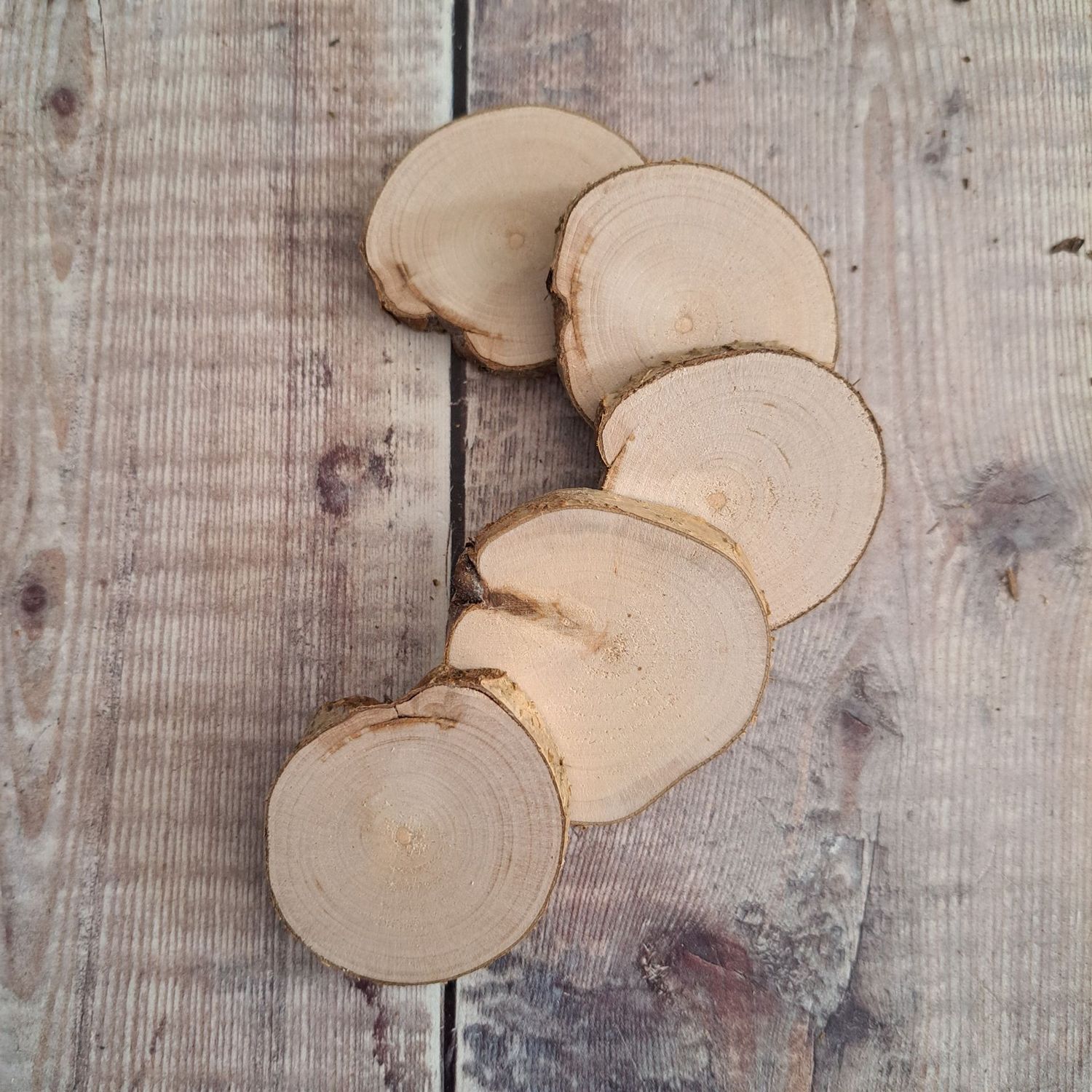 Set of 5 wood slices Set of 5 wood slices