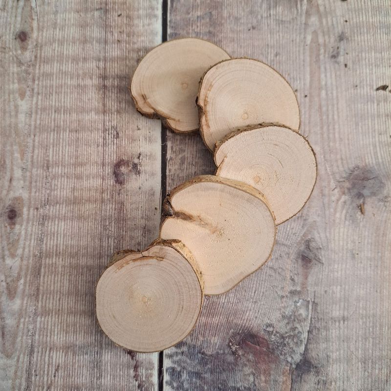 Set of 5 wood slices