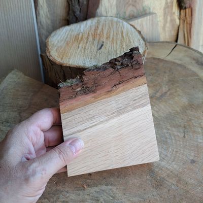 Oak pyrography blank
