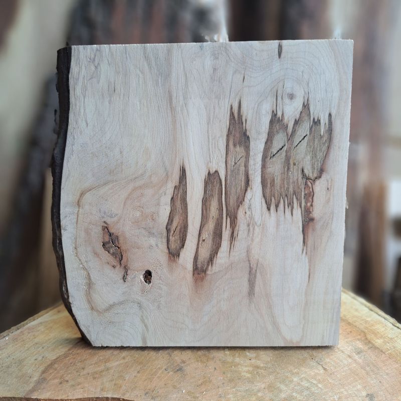 Unusual Sycamore blank