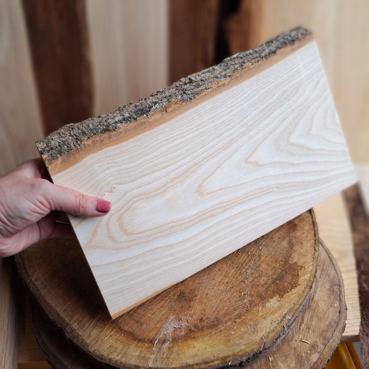 35cm wide ash blank with bark