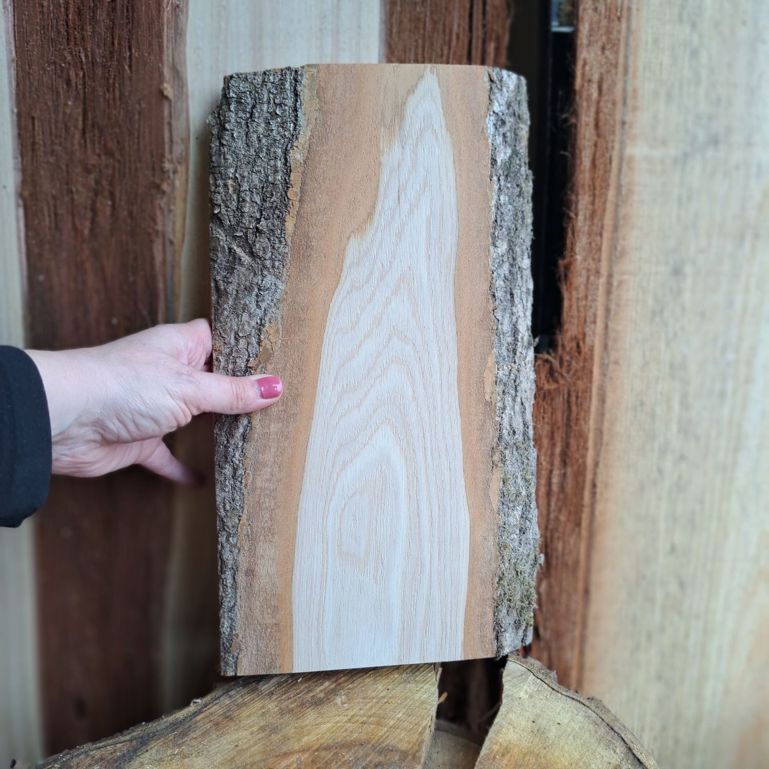 37cm tall ash blank 37cm tall ash blank