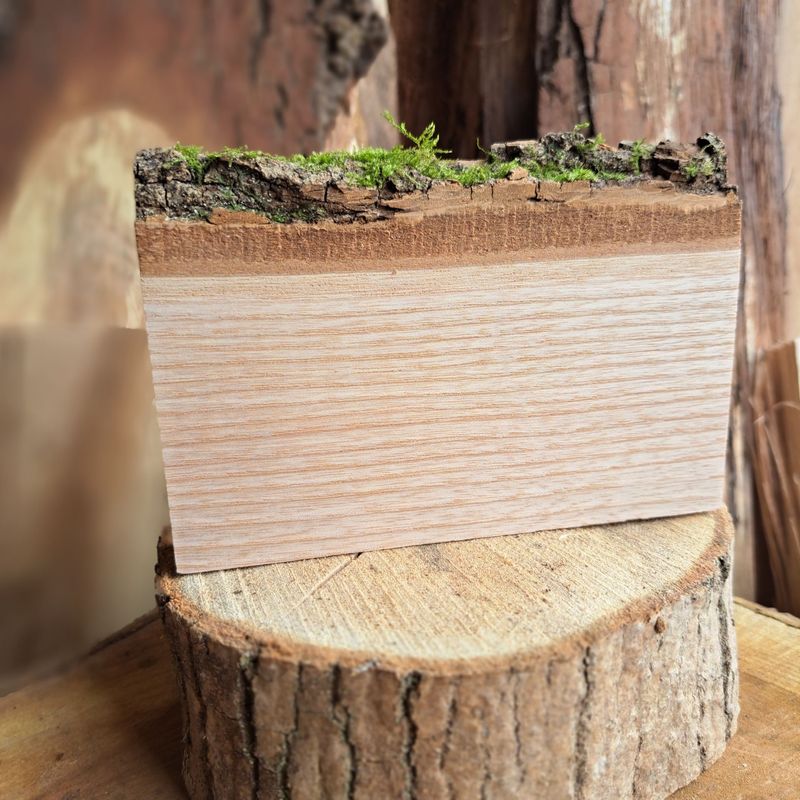 Small ash blank