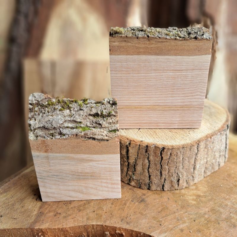Pair of small ash blanks