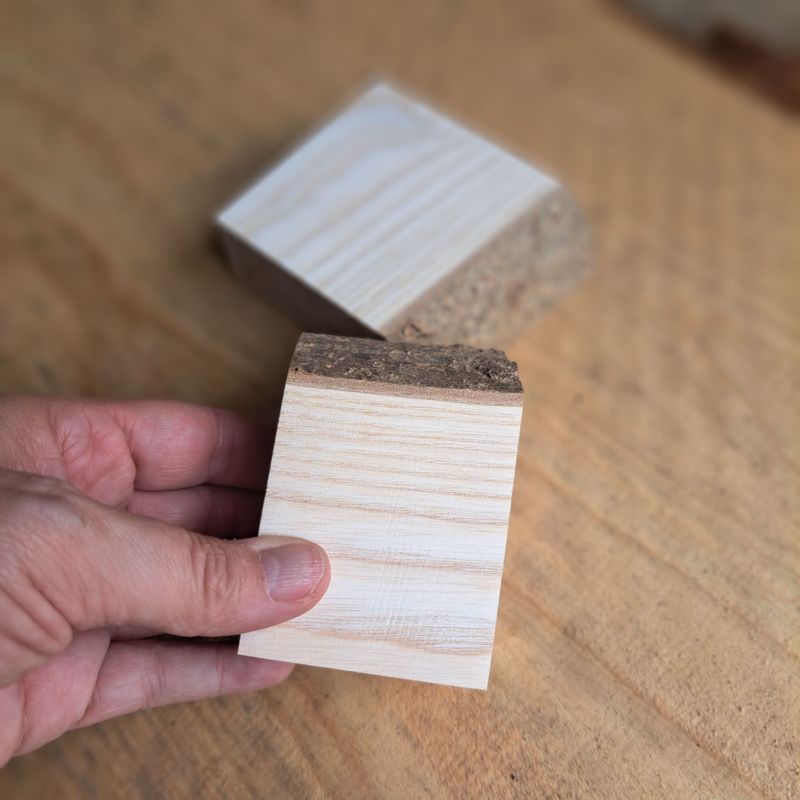 Pair of small maple blanks Pair of small maple blanks
