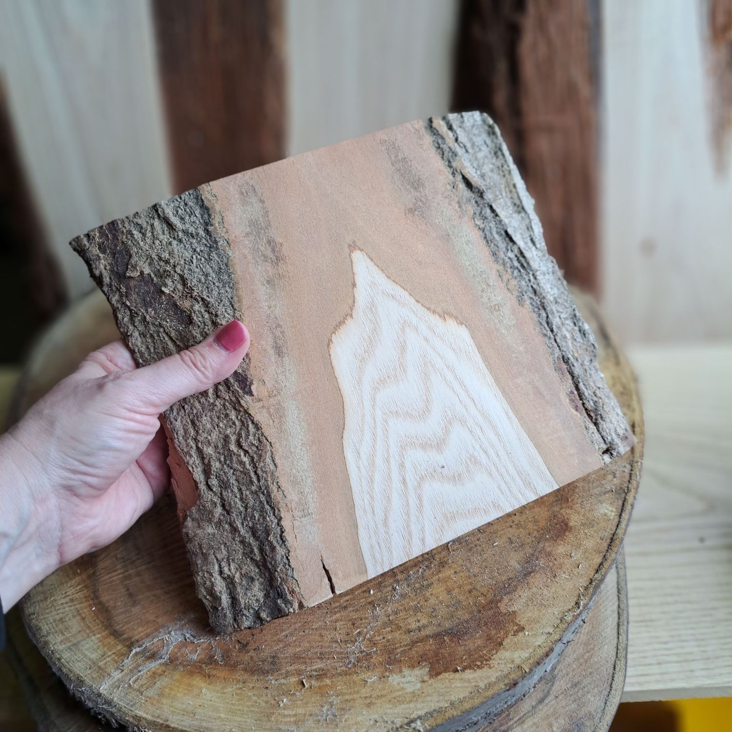 Triple natural edge ash blank