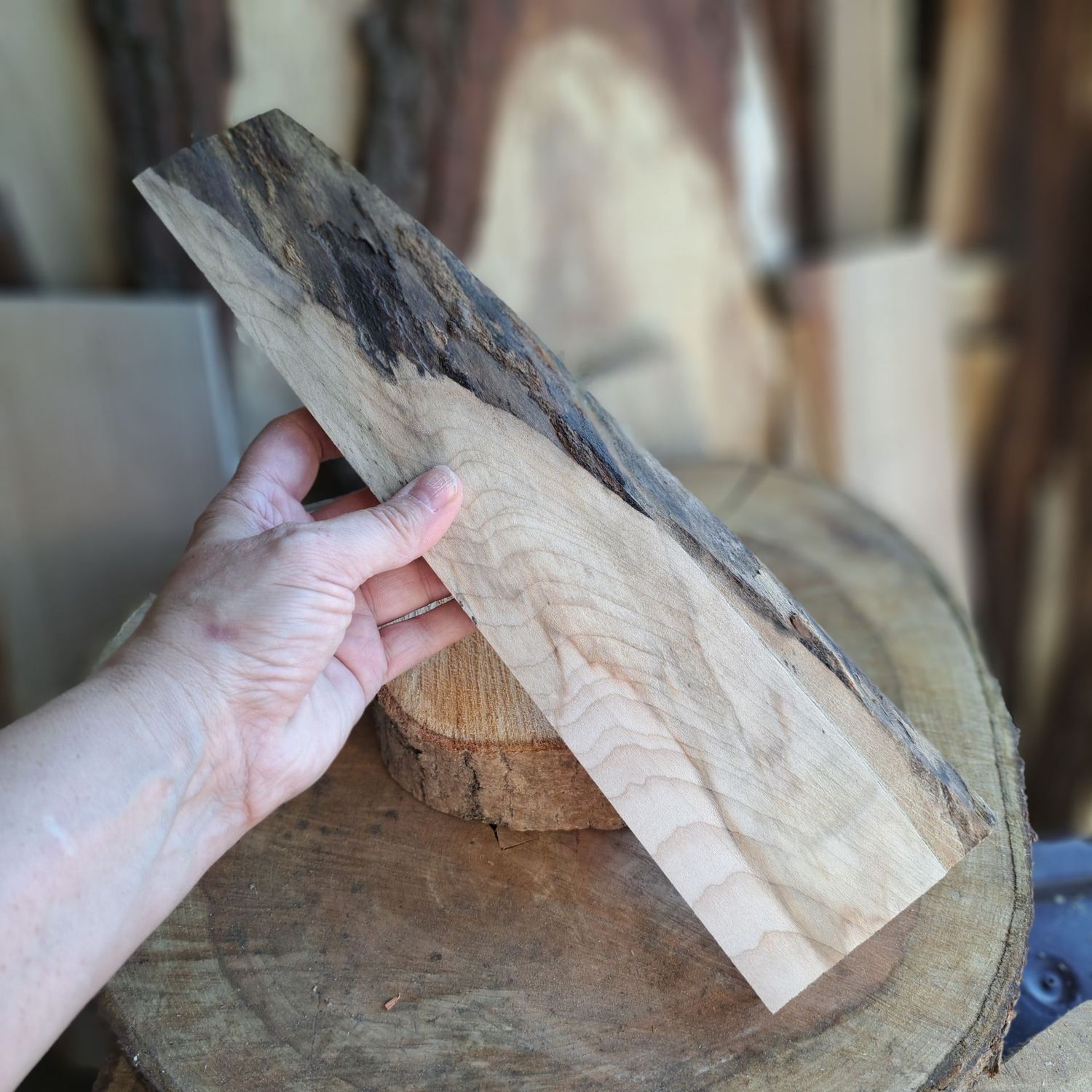 Long narrow sycamore blank