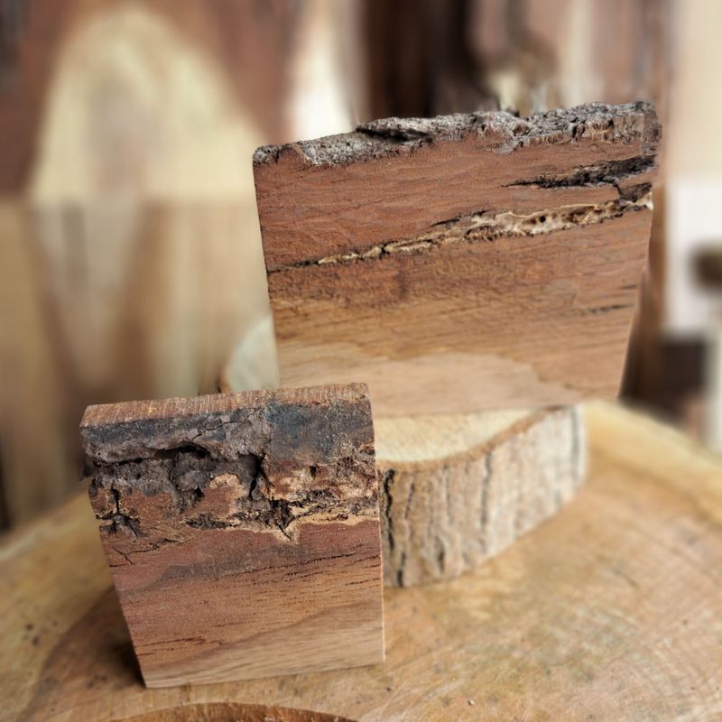 Pair of rustic oak blanks