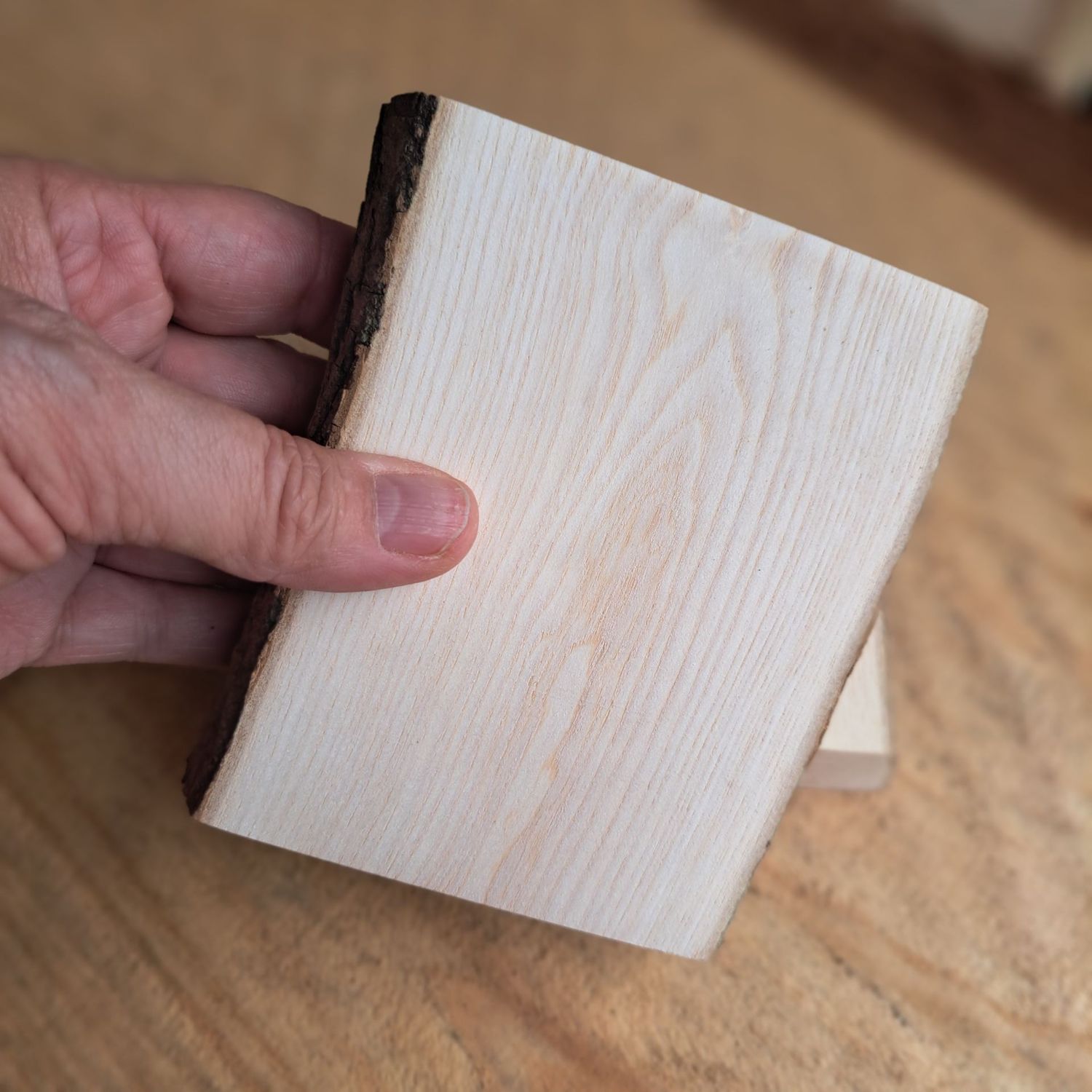 Pair of 11cm maple blanks Pair of 11cm maple blanks
